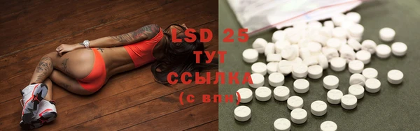 дмт Белокуриха